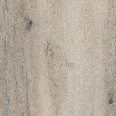 China Wholesale PVC flooring 5mm click EIR wood embossed Light Color SPC click flooring