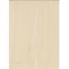 Bulk Homogeneous PVC Flooring 2.0MM Thick 丨 Anti-Slip Vinyl Sheet for Hospitals & Cleanrooms