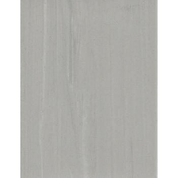 Bulk Homogeneous PVC Flooring 2.0MM Thick 丨 Anti-Slip Vinyl Sheet for Hospitals & Cleanrooms