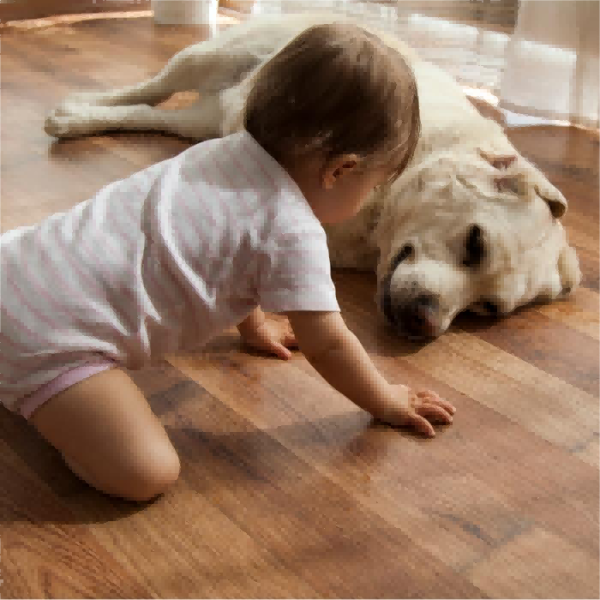 Ventajas y desventajas de los pisos de tablones de vinilo