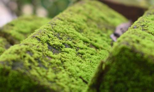 Waterproof basement, still wet? EAST DEHUMIDIFIER сушака home repair.