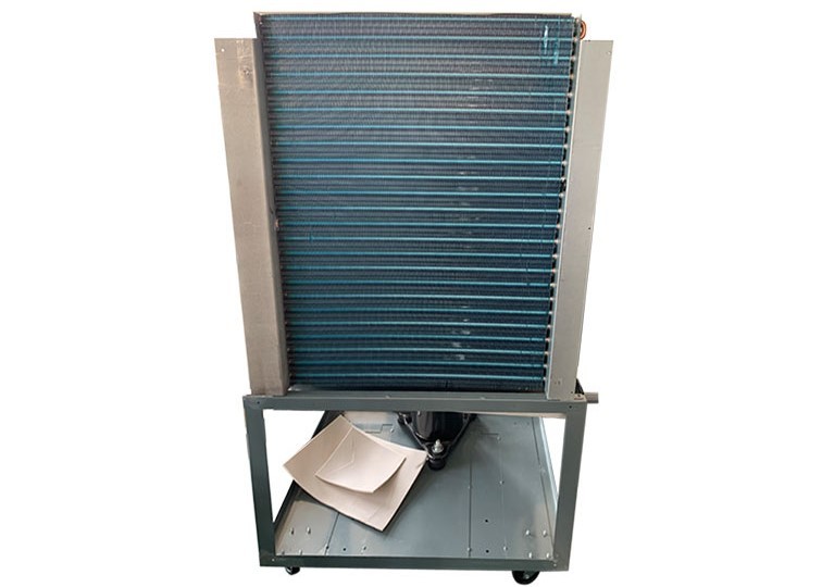 top dehumidifier