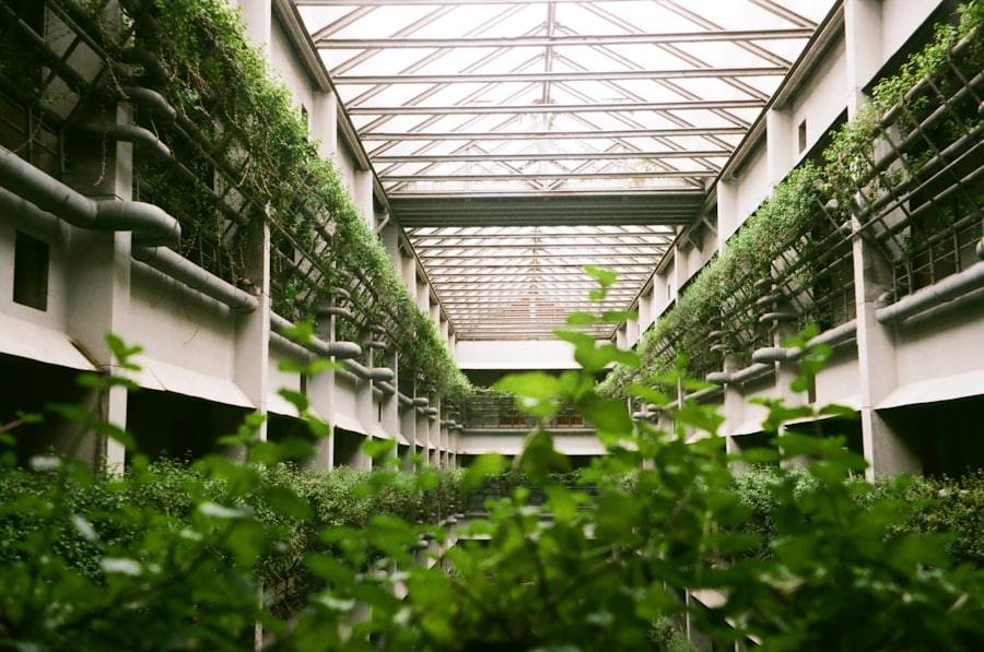 A building interior with lots of plants growing inside