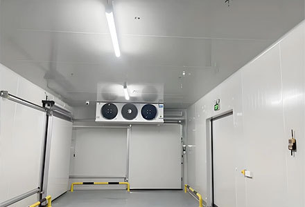 SDC-800M commercial desiccant dehumidifier unit cold storage application