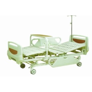 Double Cranks Mechanical Hospital Bed (A-1)