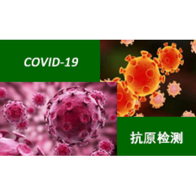 COVID-19 Antigen Neo P211136 20Tests