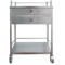Two Shelves Stainless Steel Medical Instrument Cart (J-1)