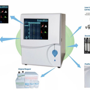 Medical Device Fully Automated 5 Part Blood Testing Hematology Analyzer with 12.1 Touch Screen