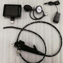 Veterinary Flexible Video Gastroscope for Pet Hospital
