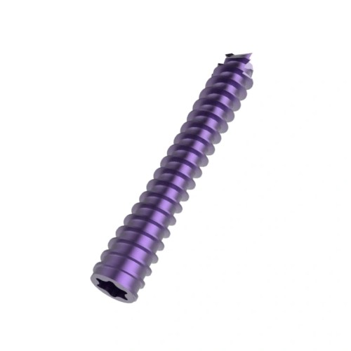 Medcial Headless Compression Cannulated Screw Dia 2.5mm, 3.0mm, 3.5mm, 4.0mm, 4.5mm, 5.0mm and 6.5mm, Orthopedic Compression Screw