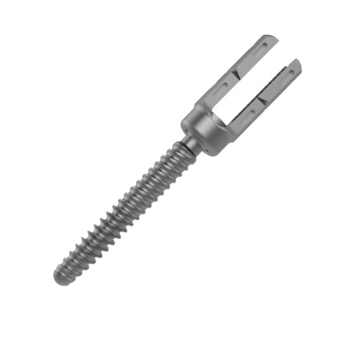 Reduction Polyaxial Pedicle Screw Cantsp Spine Titanium Orthopedic Implants Screw Posterior Thoracolumbar System