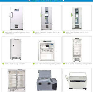-25 Degree 105L Small Horizontal Chest Deep Freezers for Vaccine and Medicine