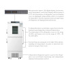 Dual Independent Digital Display -25 Degree Medical Cryogenic Upright Deep Freezer