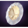 AccuFit® Transapical Mitral Valve Replacement System