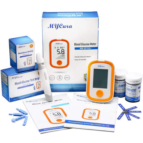 Factory Price Accurate Blood Glucose Meter Kit for Diabetes Testing
