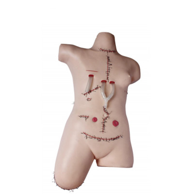Anatomical Human Body Surgical Suture and bandaging Model
