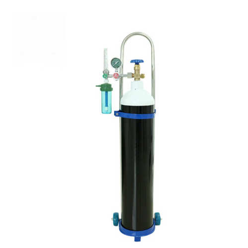 Single Cylinder D/E Oxygen Cylinder Cart Portable Oxygen tank with regulator