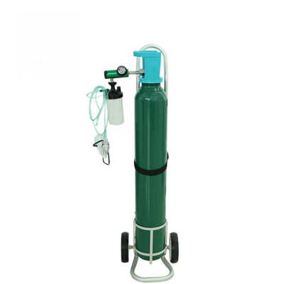 Single Cylinder D/E Oxygen Cylinder Cart Portable Oxygen tank with regulator