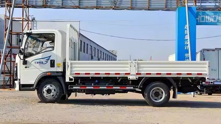 Özelleştirilmiş 4x4 Dizel Hafif Kargo Kamyonları | Lojistik için OEM/ODM Mini Kamyon | Distribütörler ve Toptancılar için Güvenilir Çözümler