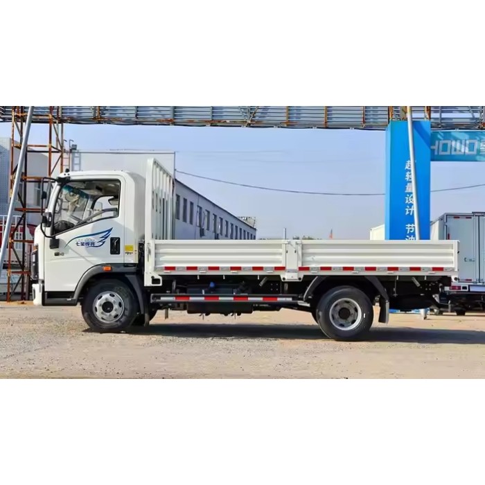 شاحنات نقل خفيفة ديزل رباعية الدفع مُخصصة | شاحنة صغيرة مُصنّعة من قِبل الشركة المصنعة/المصنعة للوجستيات | حلول موثوقة للموزعين وتجار الجملة