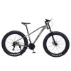 FAT BIKE LEISI 4.0 TIRE - Jeep
