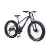 FAT BIKE LEISI 4.0 TIRE - Jeep