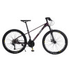 STEEL MOUNTAIN BIKE MAX880 - Jeep