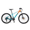STEEL MOUNTAIN BIKE MAX880 - Jeep