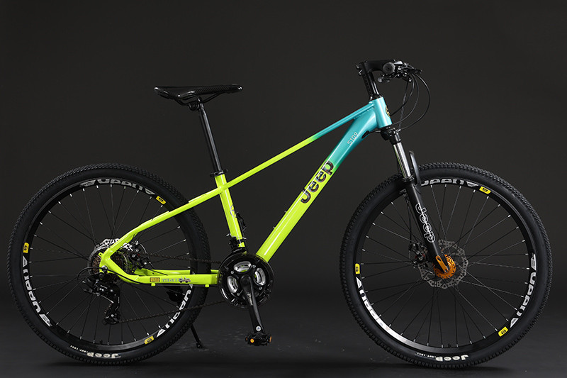 STEEL MOUNTAIN BIKE MAX880 - Jeep