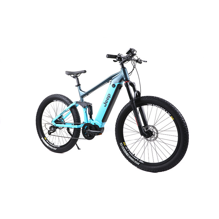 What should I pay attention to before buying electric bike?