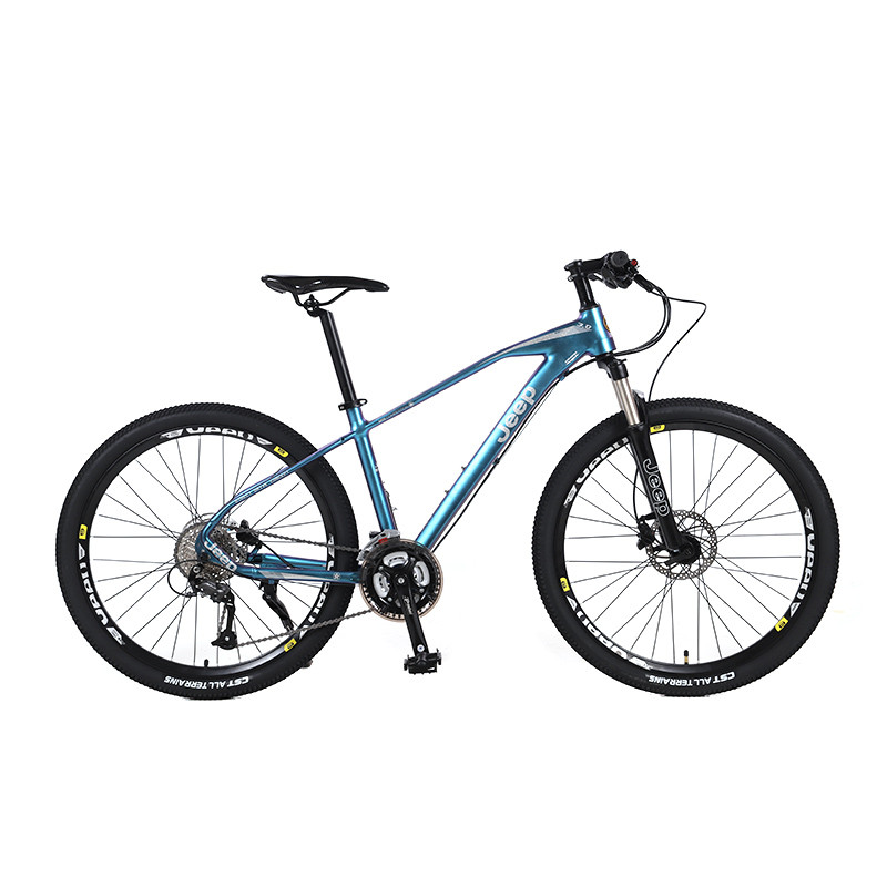 Electric vs. Traditional: Which Mountain Bike Is Right for You?