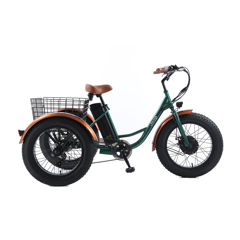 3 WHEEL E-BIKE PEDELEC R5000 - Jeep