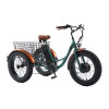 3 WHEEL E-BIKE PEDELEC R5000 - Jeep