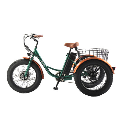 3 WHEEL E-BIKE PEDELEC R5000 - Jeep