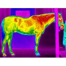 How Does Thermal Imaging Work ？
