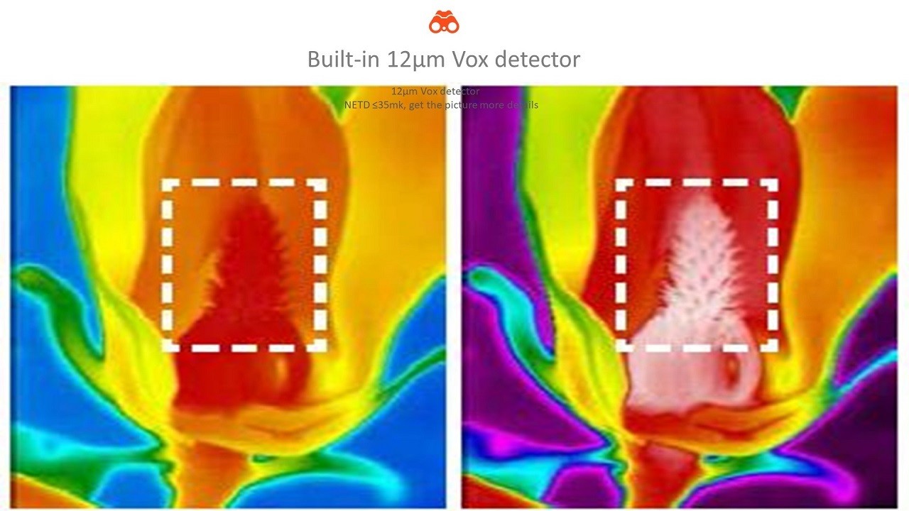 bullet thermal camera 