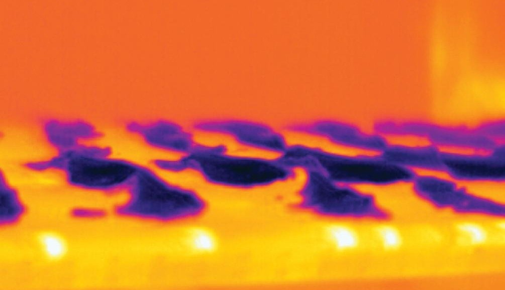the specific applications of thermal imaging cameras in the food industry