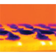 Applications of Infrared Thermal Imaging Cameras in Food Industry