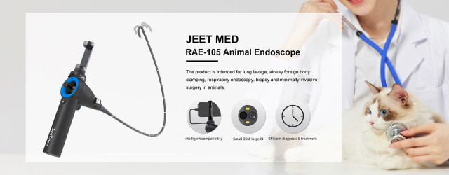 Animal Endoscope