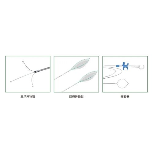 【征集启事】动物医疗病例大征集,携手共进,共创动物健康新时代!