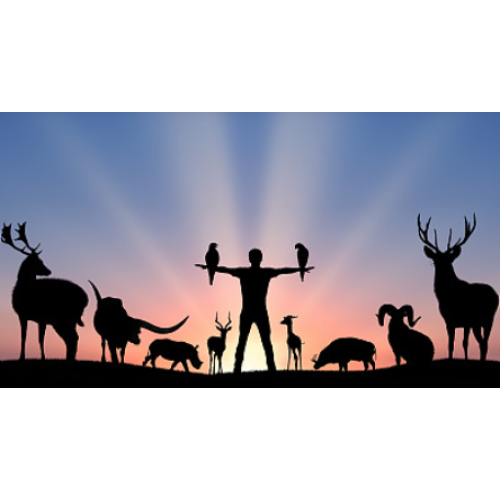 动物医疗与人医:两者的区别与联系