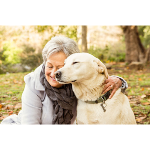 中老年科学养宠成主流