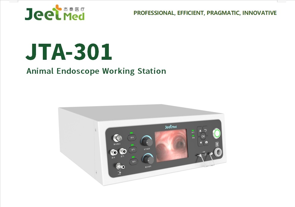 Animal Endoscope Working Station