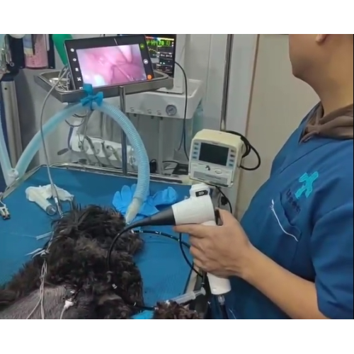 动物内窥镜 | 转向大比拼,谁更胜一筹?