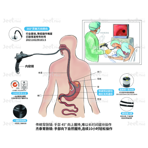 护“胃”健康 | 杰泰医疗360°胃肠镜检查全流程