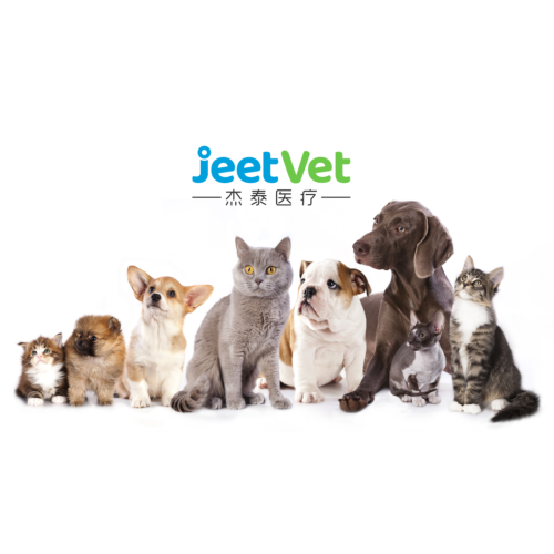 动物医疗新“镜”界 | 杰泰医疗内窥镜以专业探索动物精准医疗解决方案