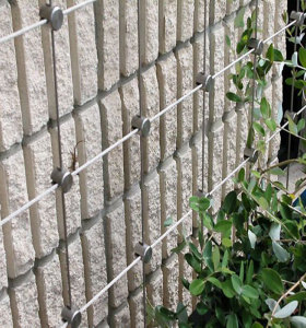 Pared verde artificial simple del uso de la pared verde de DIY Construya su sistema de la pared verde