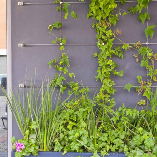 Simple DIY Green Wall Use Artificial Green Wall Build Your Green Wall System