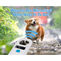 What Is Pet Microchip? What Does It To Do?