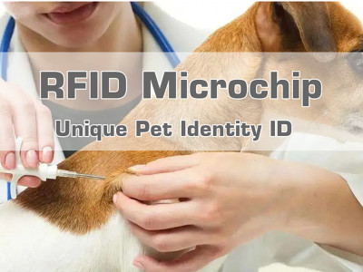 RFID Microchip Unique Pet Identity ID